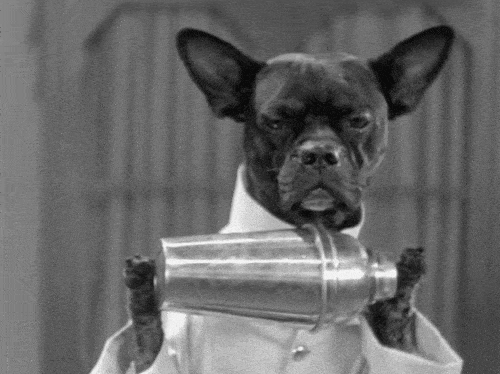 Black-and-white photo of a dog in a bartender jacket shaking a cocktail shaker