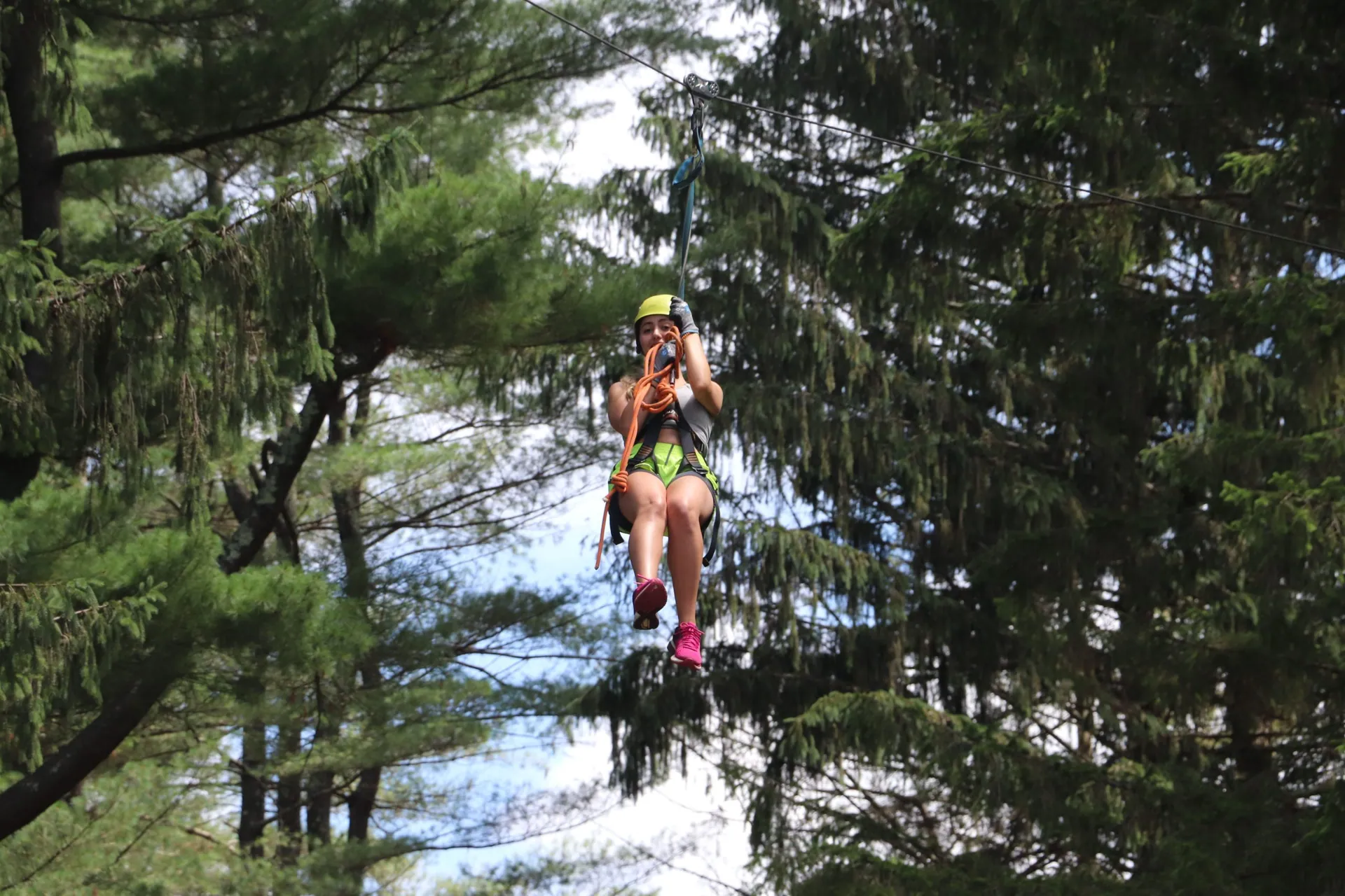 Guest riding a zip line between tall pine trees