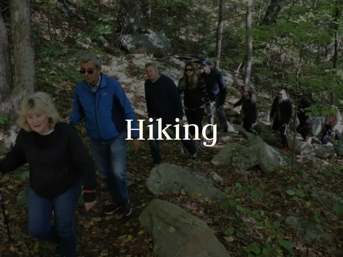 Guests hike over rocks on a wooded trail