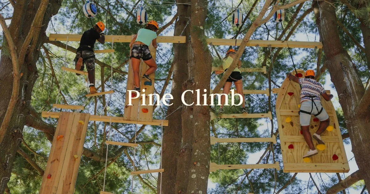 A climber works up a cargo net and holds on a pine tree